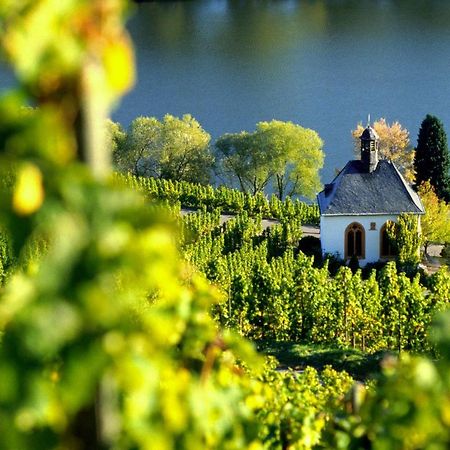 Апартаменты Weingut Christoffel Kovenig Экстерьер фото